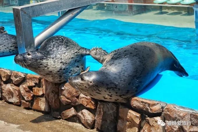 齐河附近带孩子自驾游景点,周边亲子游齐河