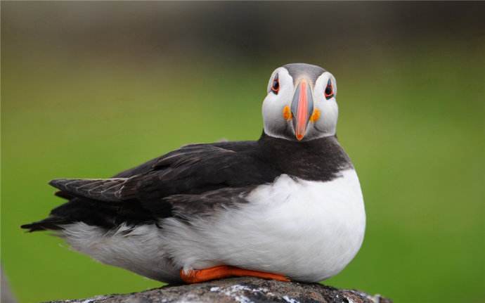 带你看世界冰岛,带你走进北欧国家冰岛