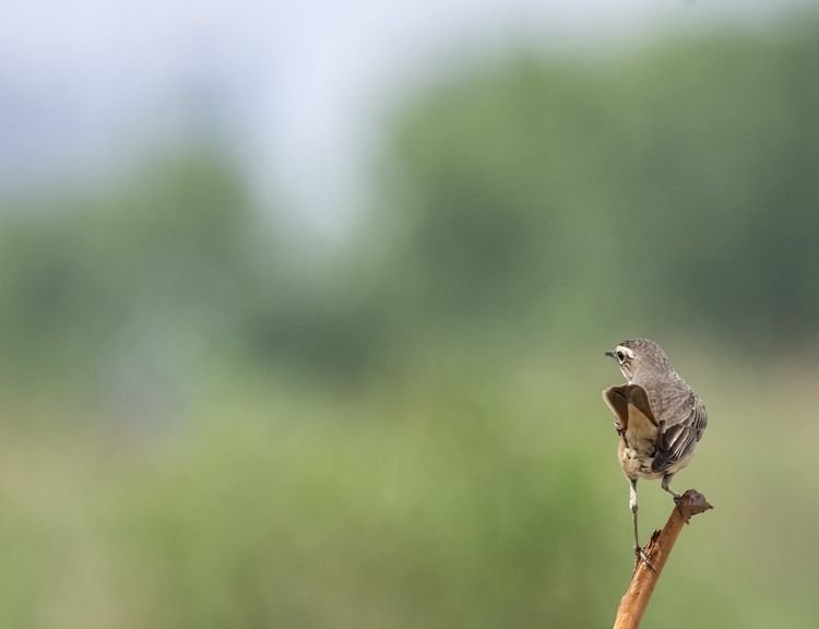 情人岛拍摄地点,情人岛航拍视频