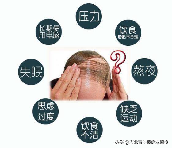 保定专家谈脱发现状：占比超三成，“90后”竟成脱发“主力军”？