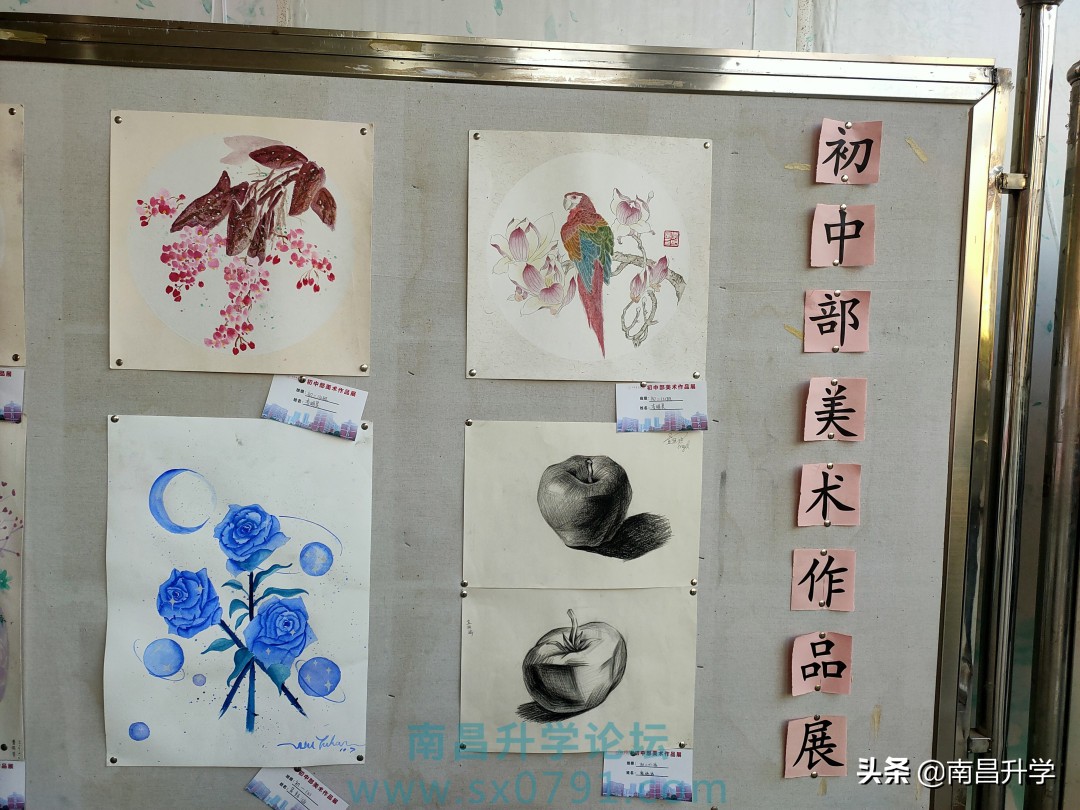 南昌市第五中学好不好,南昌市第五中学实验学校