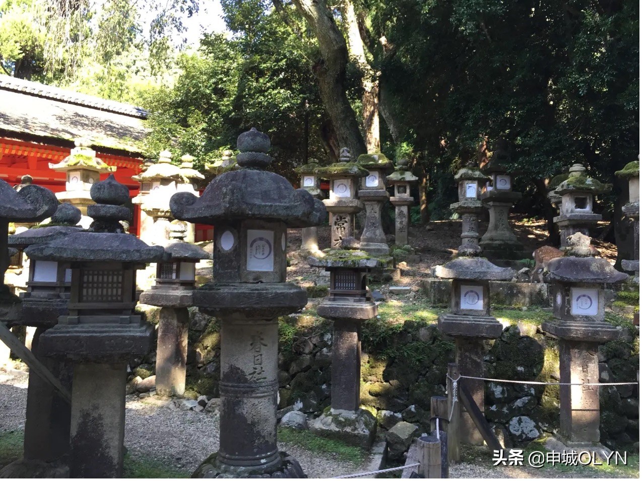 日本三年签证去冲绳和大阪,曾经申请过日本签证