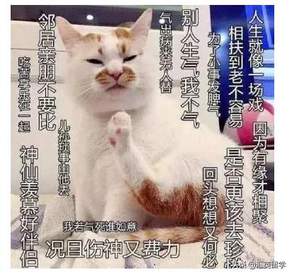 留学生怼亲戚方法,留学生怼亲戚