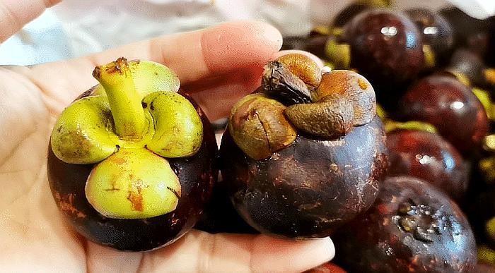 水果山竹硬的好还是软的好,山竹挑选皮硬还是皮软的