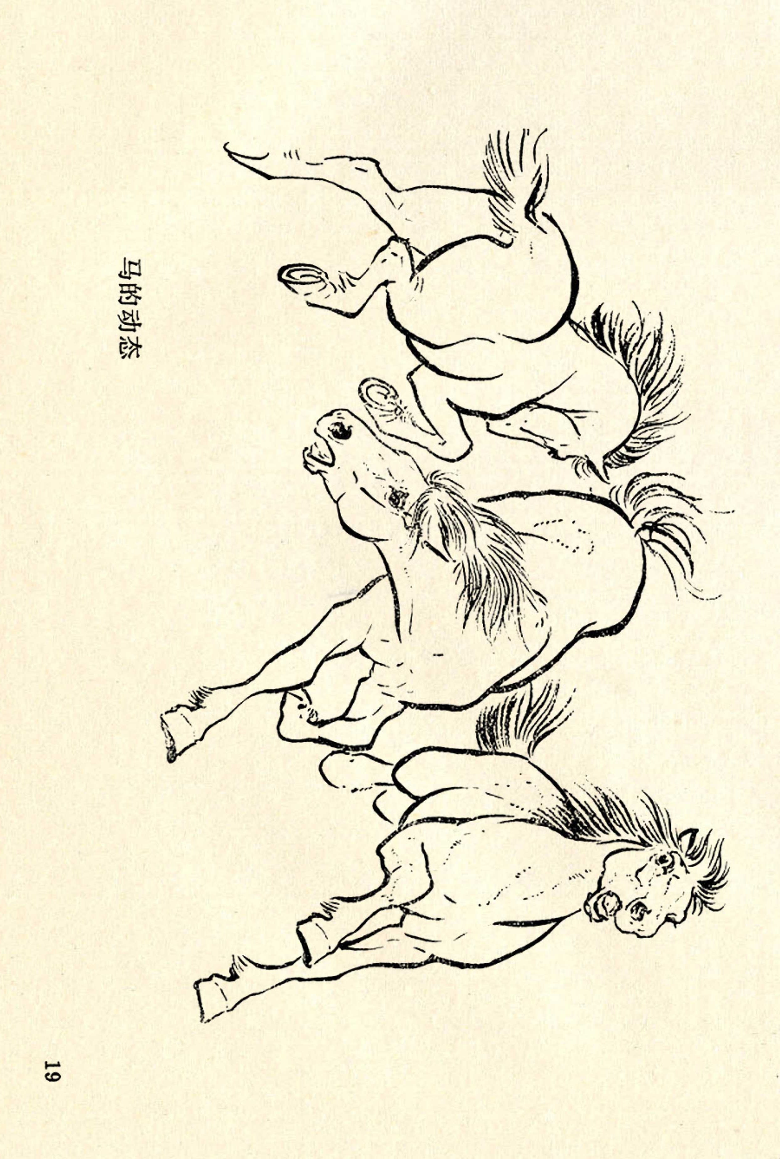 刘继卣画的学习方法,刘继卣动物插画