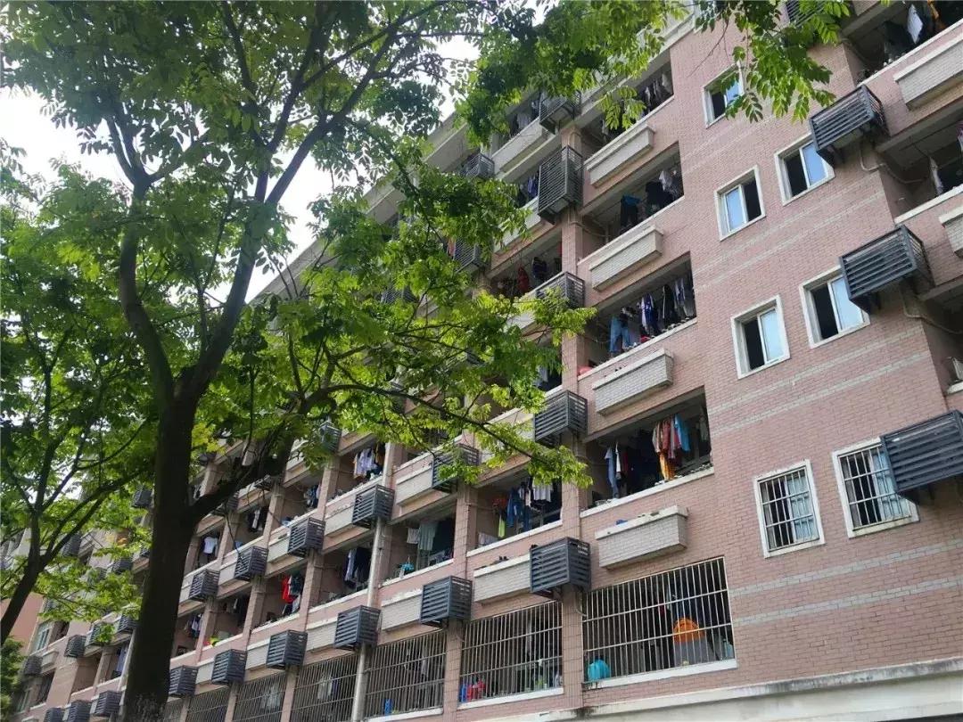 安财,我走了,请别为我哭泣