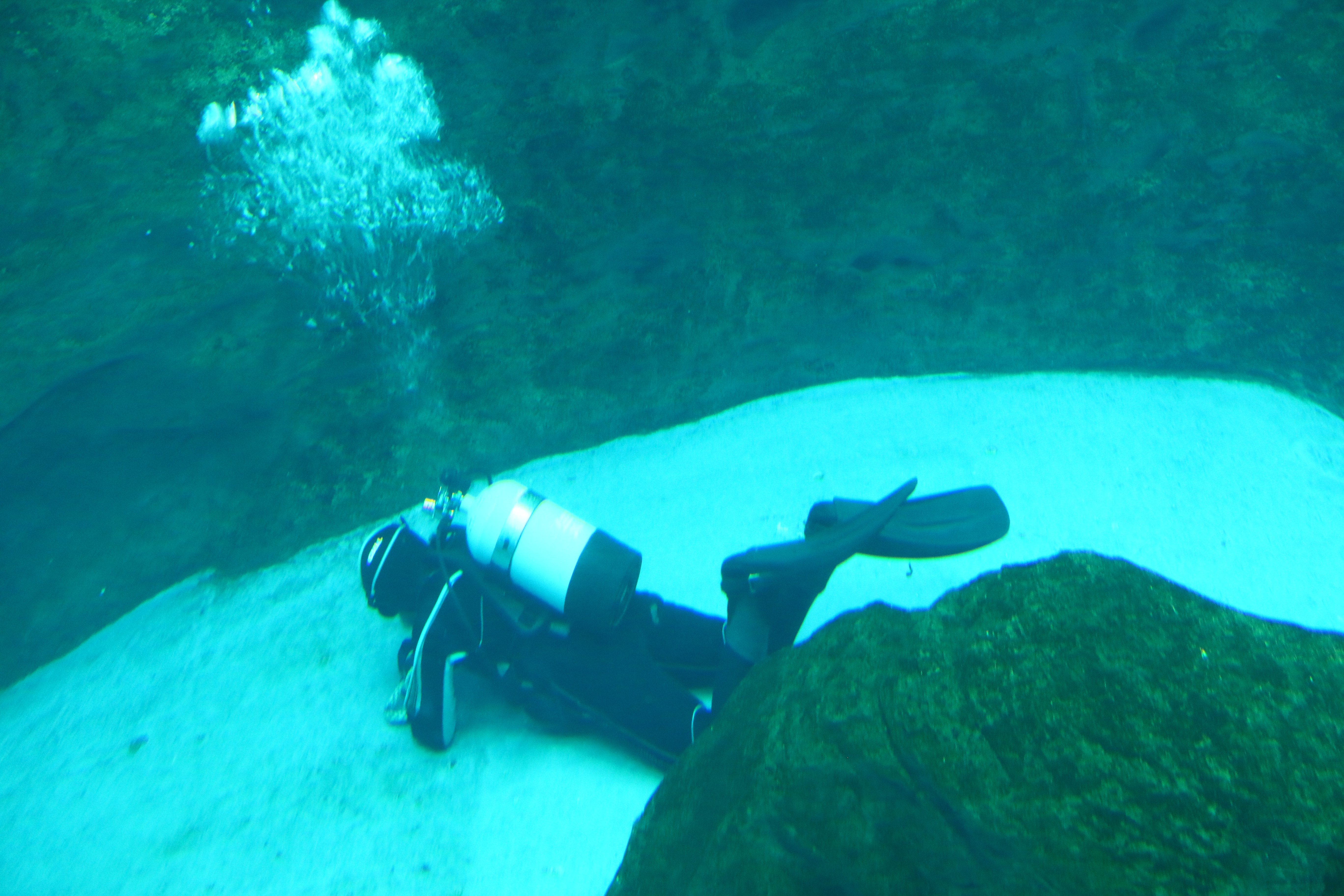 日本奈良自由行详细攻略,日本大阪京都自由行路线