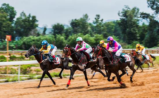 踏马滇池？百万名马乘骑等你来体验
