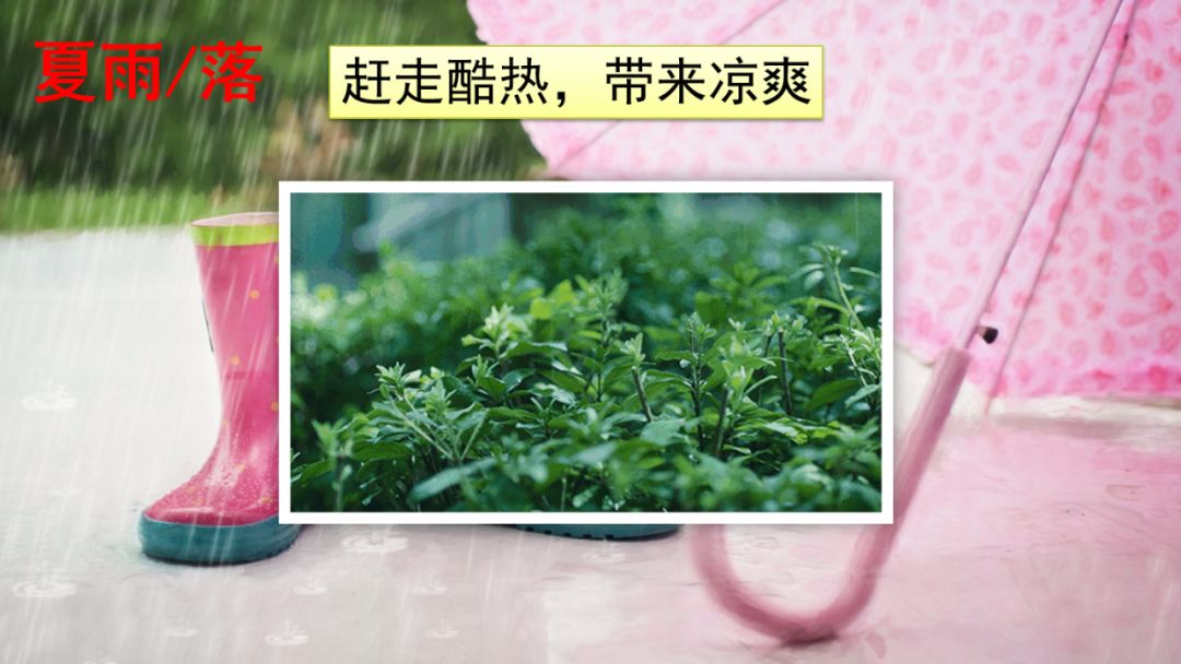 一年级语文下册春夏秋冬生字笔画,部编版一年级上册课文朗读完整版