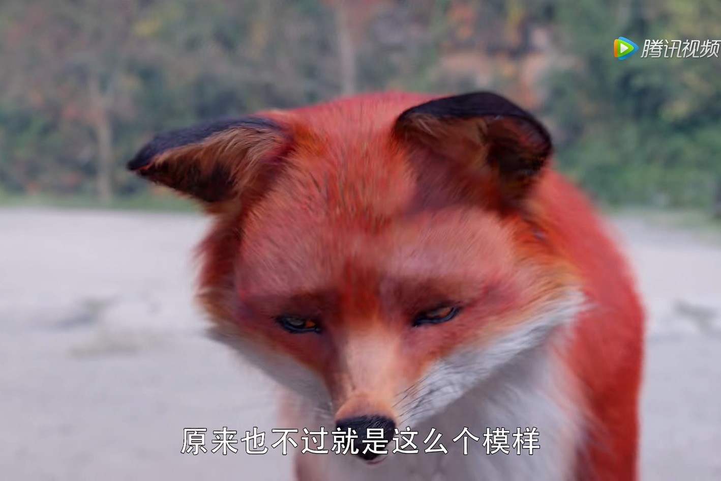 三生三世枕上书姬蘅掉入悬崖,三生三世枕上书姬衡是不是假失忆