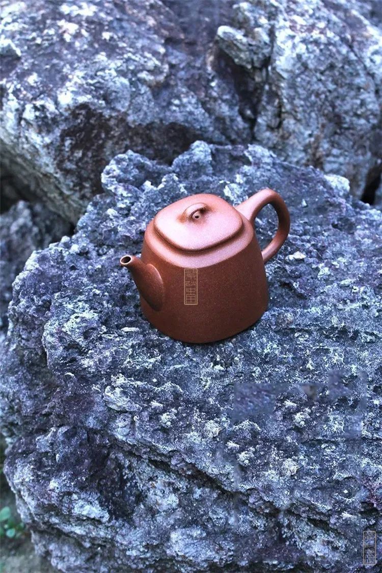 观|《衡天》施小马