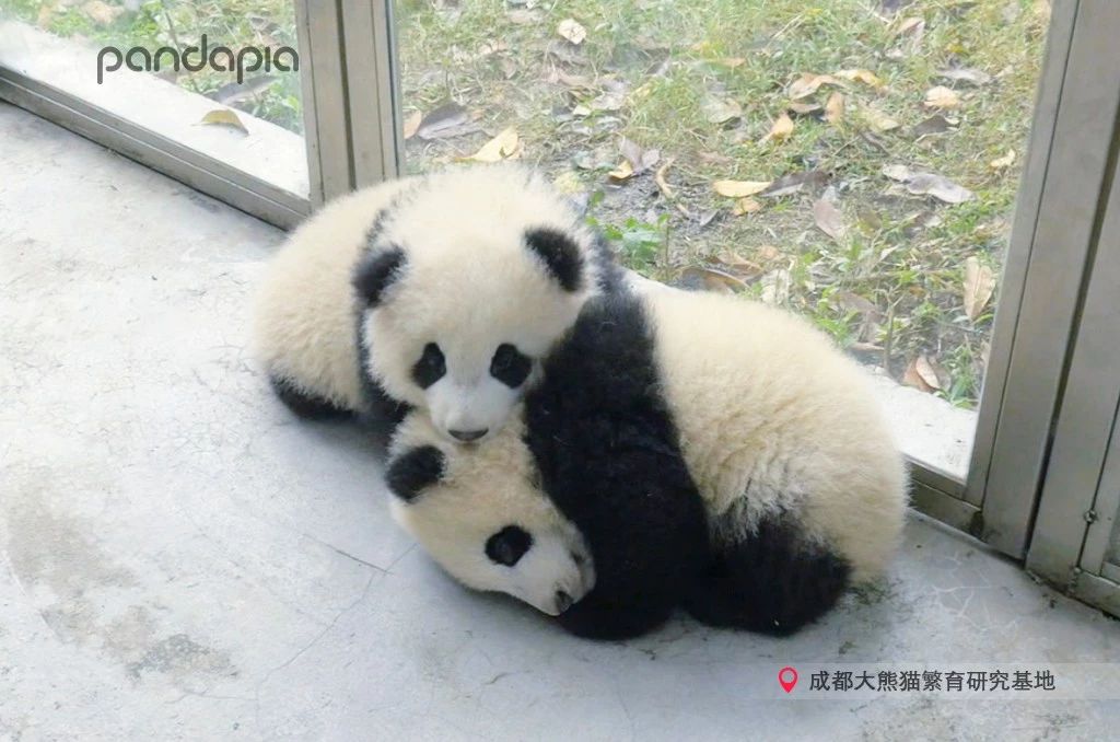 做塑料姐妹,真正的塑料姐妹是什么样的