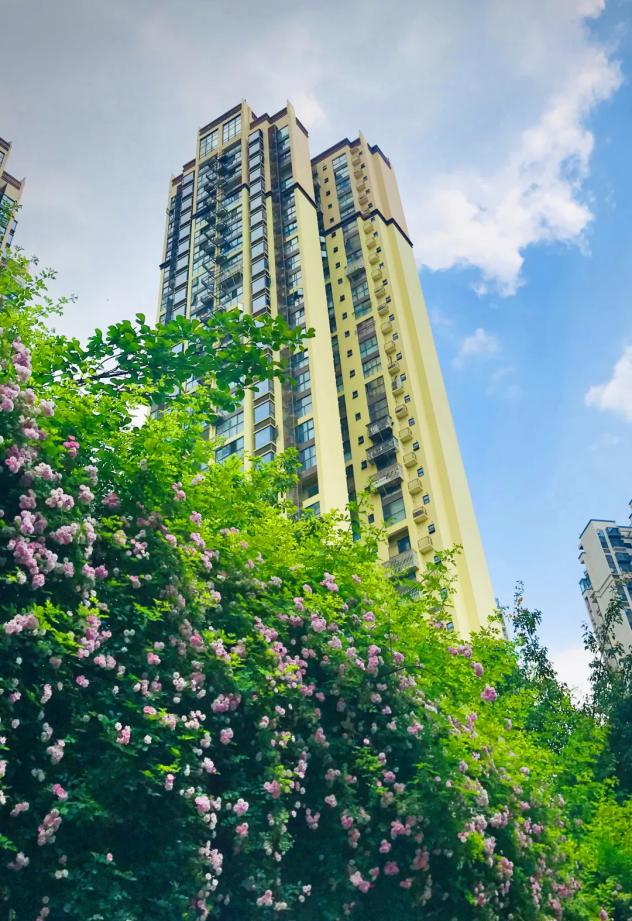 线上快进,线下激活!五月,荣盛物业渐进式启动双线社活