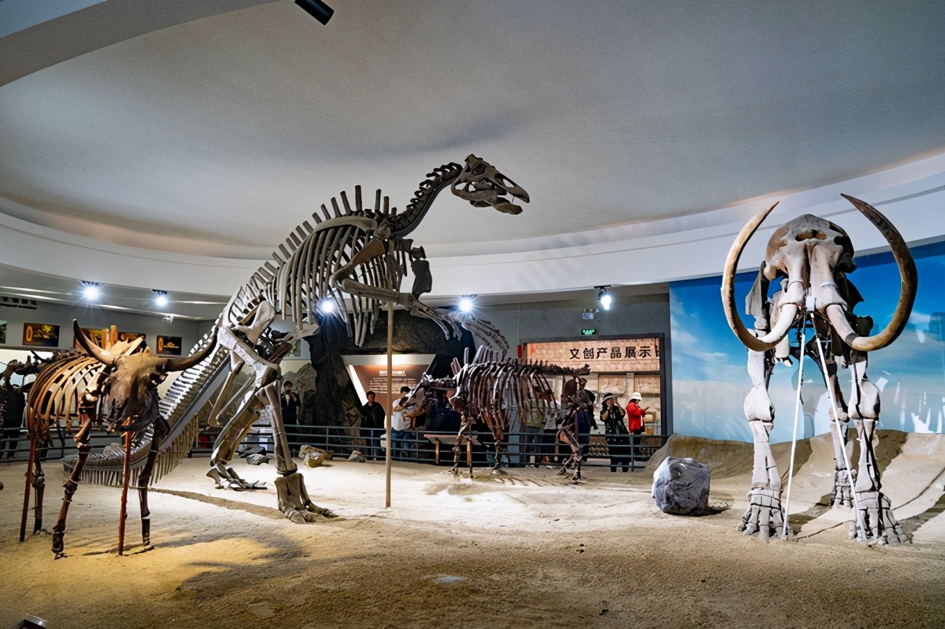 从漠河自驾到抚远镇,漠河至丹东自驾g331攻略