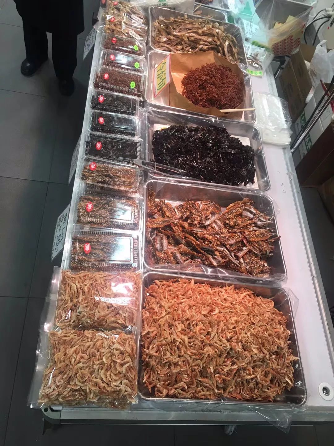 海错图爱情笔记写的是什么,海错图笔记中的错