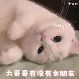 猫咪发情怎么办,母猫发了情一般持续几天