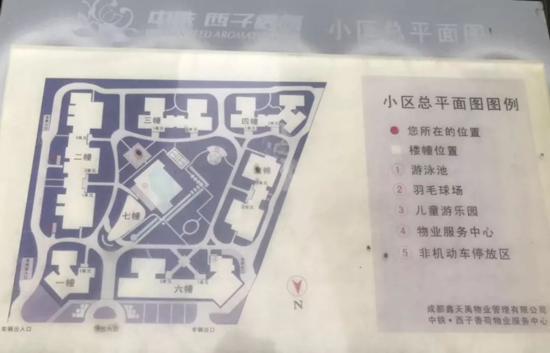 和泡小非常像的一个分校之最全盘点！​