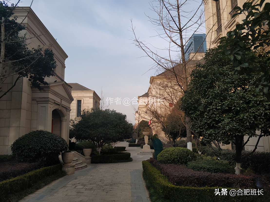 可以传世的房子格局,合肥汤臣一品海景房