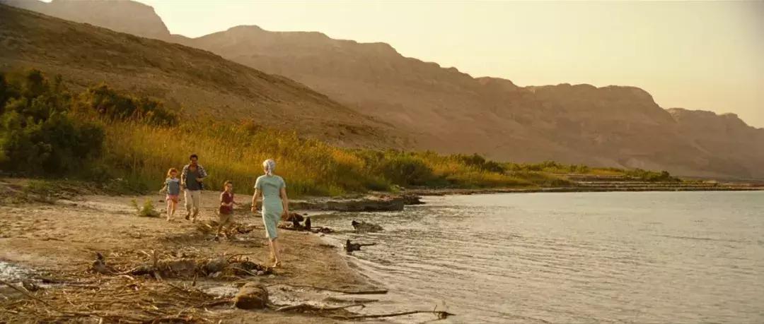 这部荷兰版“色·戒”，被低估了整整十二年