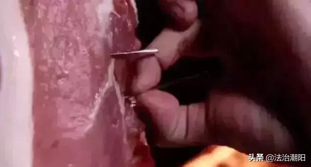 儿童安全教育家中预防触电,儿童当心触电