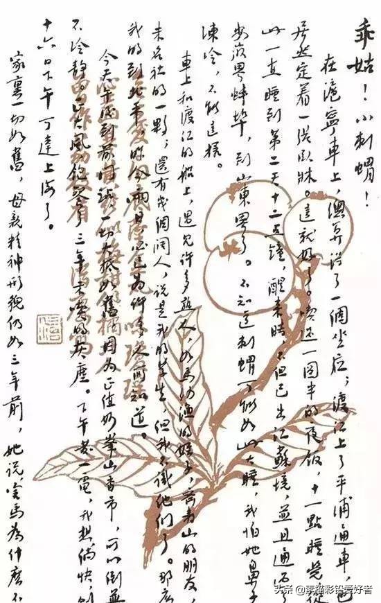 写给鲁迅的先生的一封信,高级的信