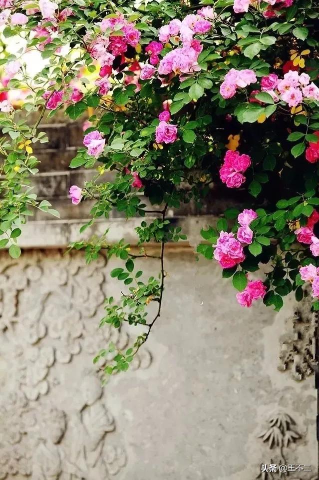 远赴人间盛宴谈笑风生不动情,远赴人间惊鸿宴谈笑风生不动情