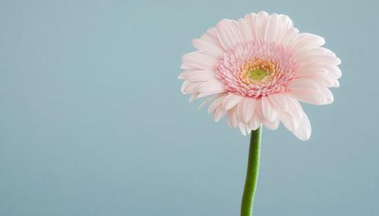 没钱没有朋友,一个人没有钱的时候