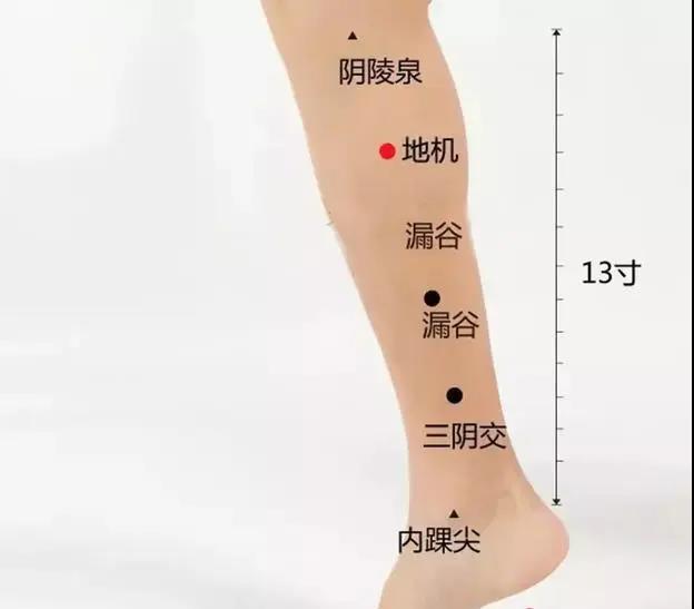 艾灸灸哪个穴位可以提高免疫力,儿童增强免疫力艾灸哪个穴位好