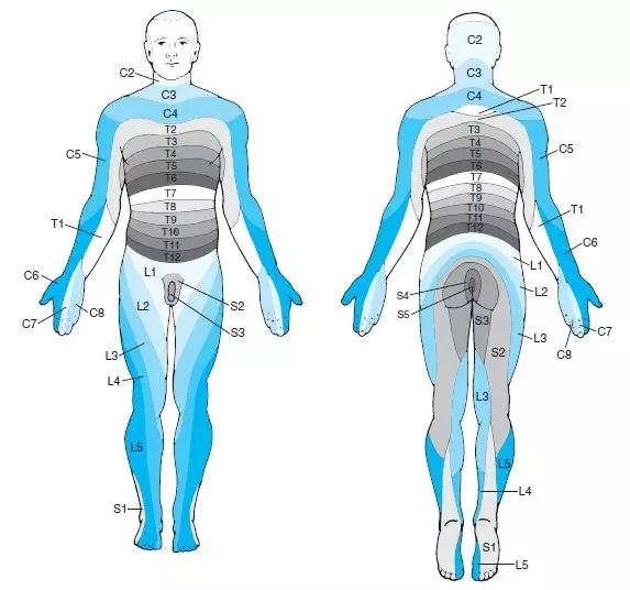 腿痛无力?走路不稳?出现走路问题怎么区别胸椎狭窄or腰椎狭窄?