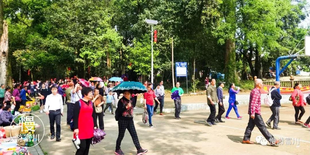 韩国富川旅行团,赞非