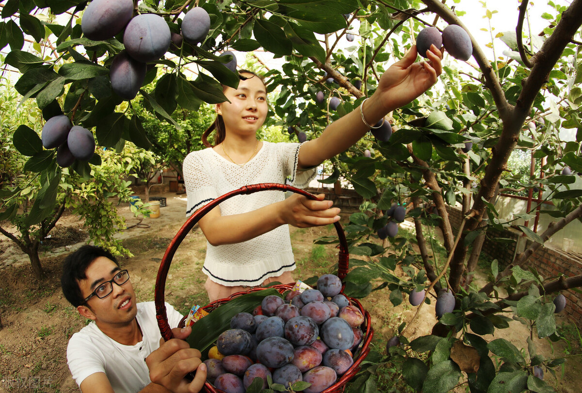 宝宝大便拉不出来小妙招快速解决,孩子大便干燥拉不出怎么快速通便