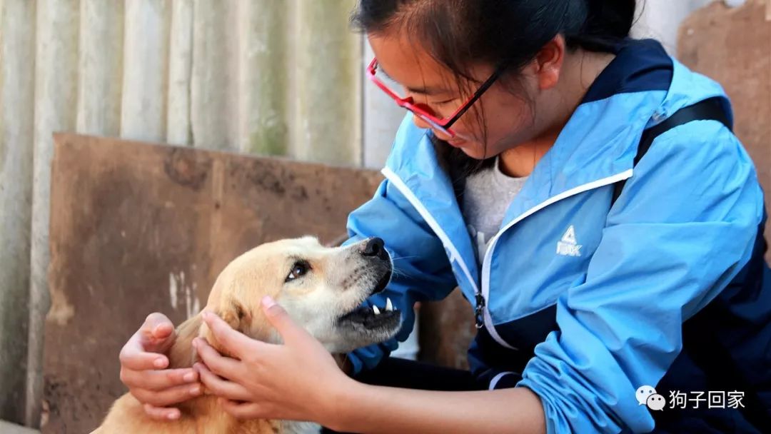 每一个生命都需要被尊重和善待,每一个生命都要被尊重被温暖