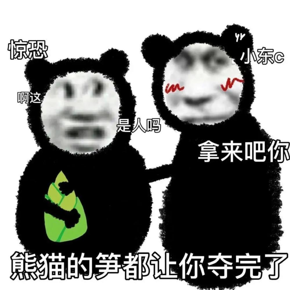 双十一喵糖活动什么时候开始,双十一最新活动喵糖攻略