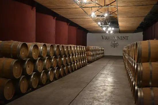 智利十大的酒庄排名榜最新,智利葡萄酒十大酒庄