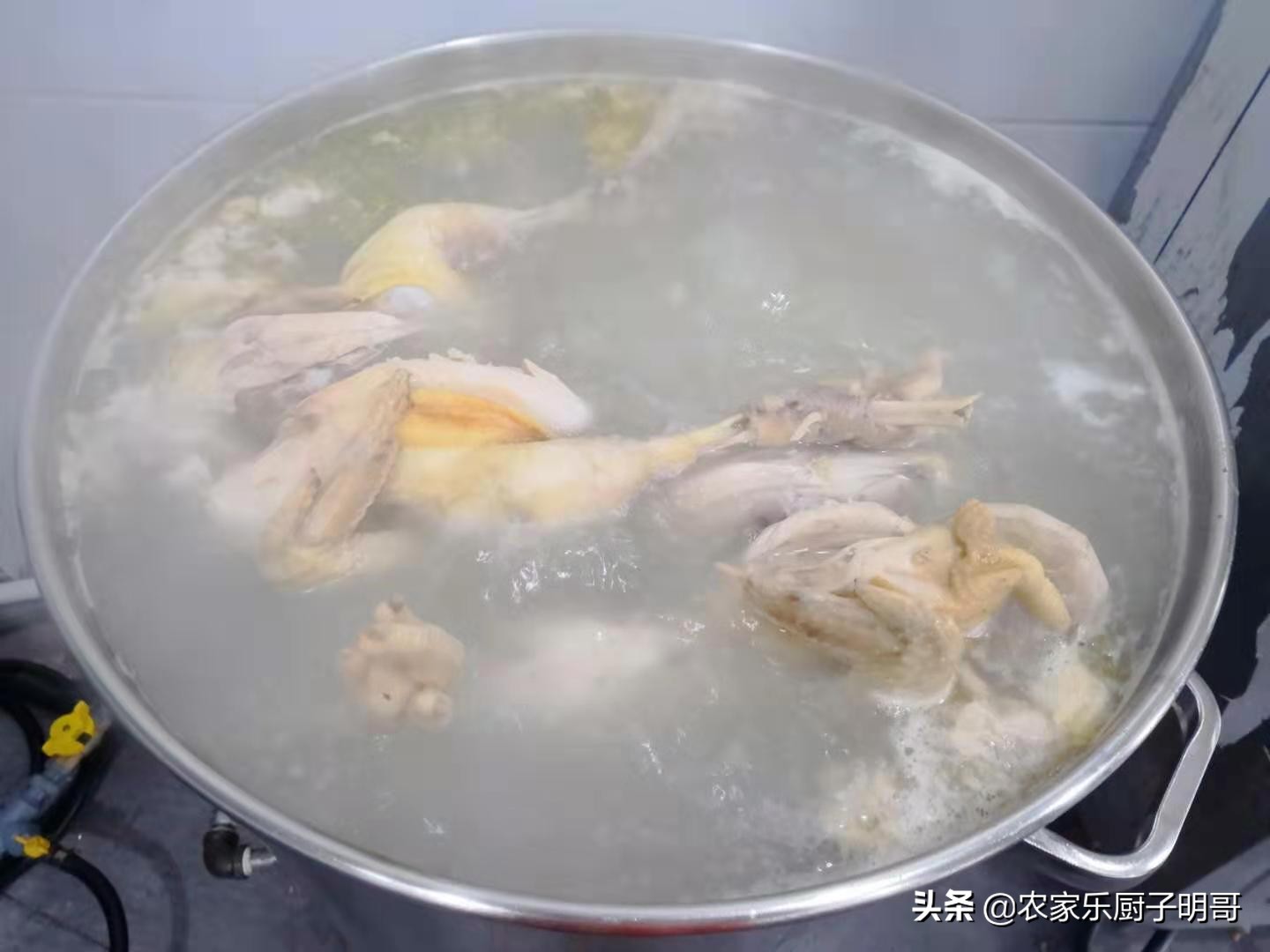 正宗四川麻香鱼的做法大全,椒麻鱼的正宗四川做法