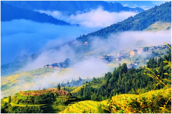 婚礼上播放张杰的秋天的童话,张杰秋天的童话舞蹈