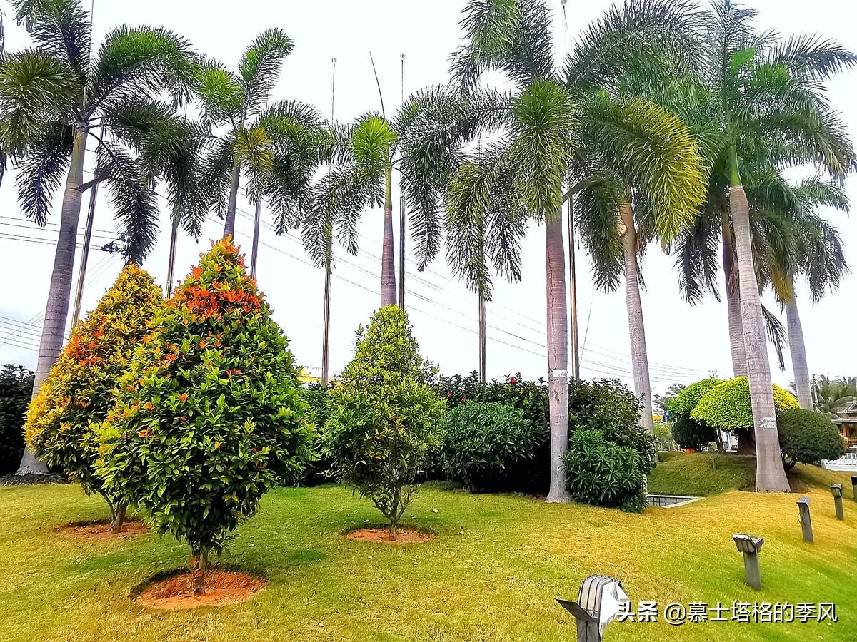 海南乐东环境怎么样,海南的乐东适合居住吗