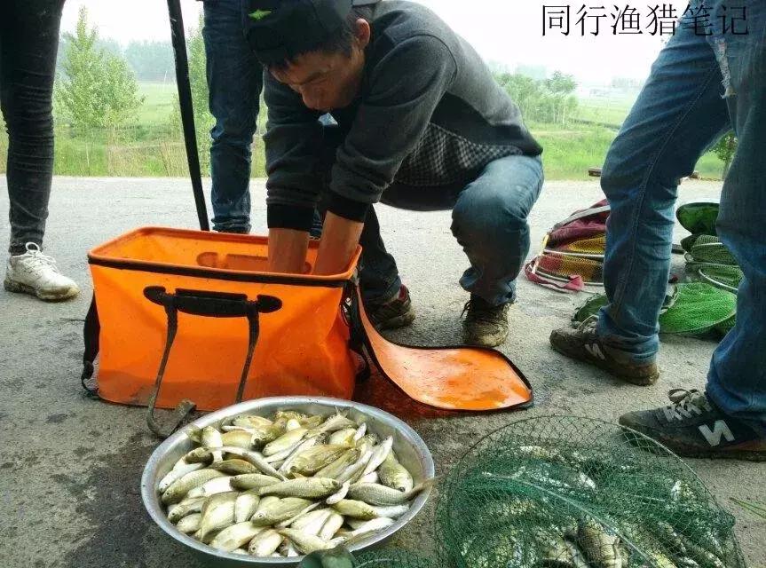 钓鱼记录2019,最新的钓鱼日记