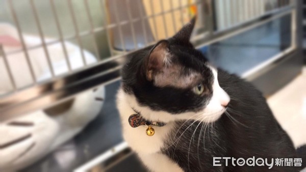 姣涙瘺搴楅暱,姣涙瘺搴楅暱瑙嗛