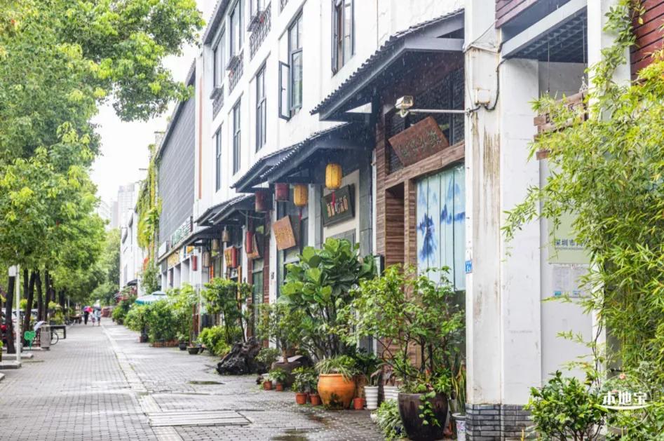 深圳龙岗区游玩攻略必去的地方,深圳龙岗区旅游攻略路线