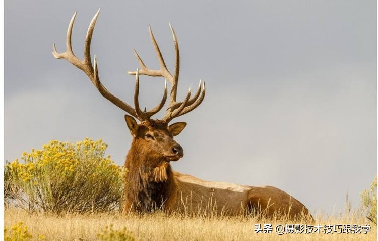 第二只镜头24-70和70-200选哪个,70-200第二代和第三代镜头怎么选