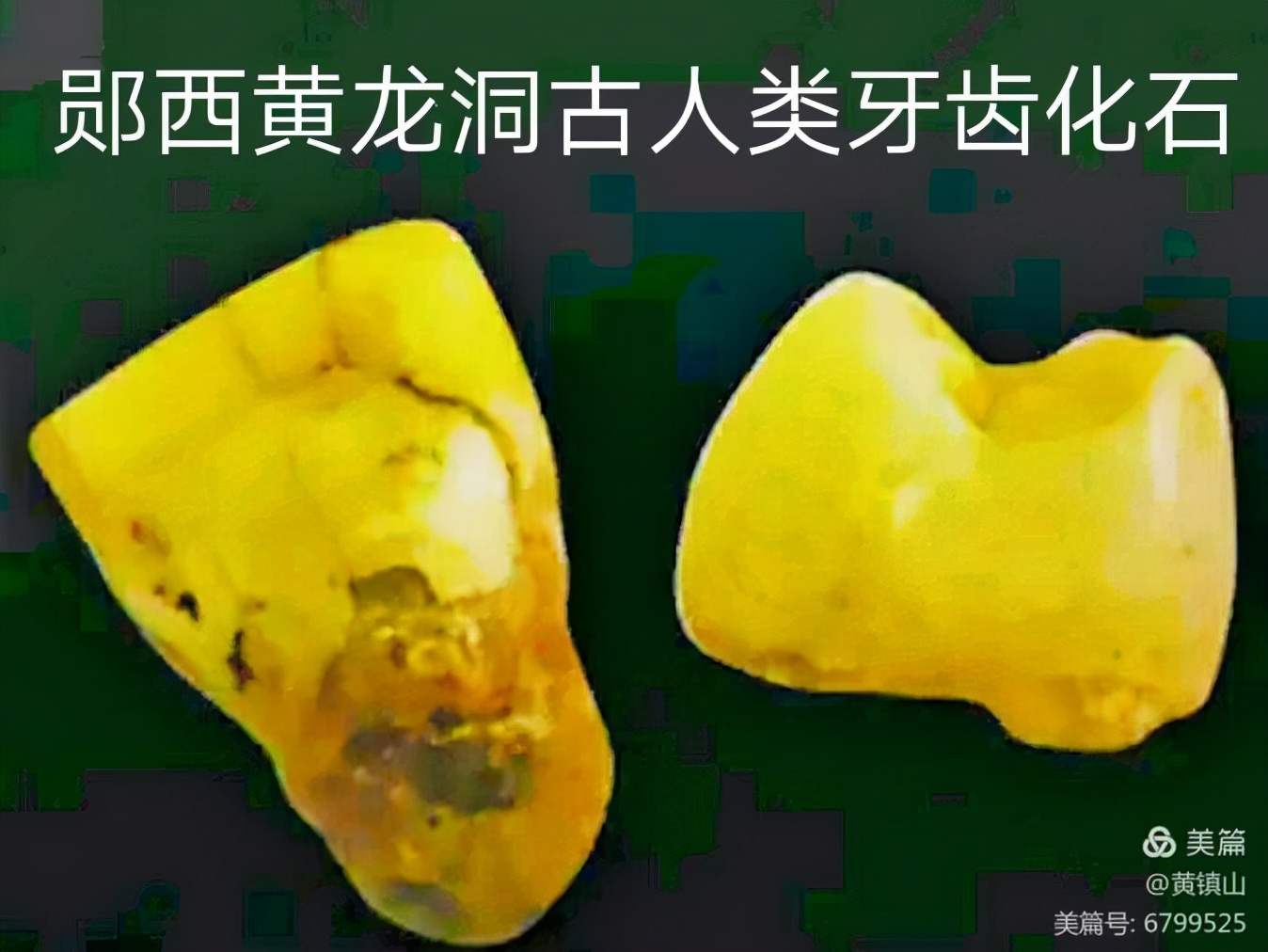 *镇黄**山:汉水考古惊天下