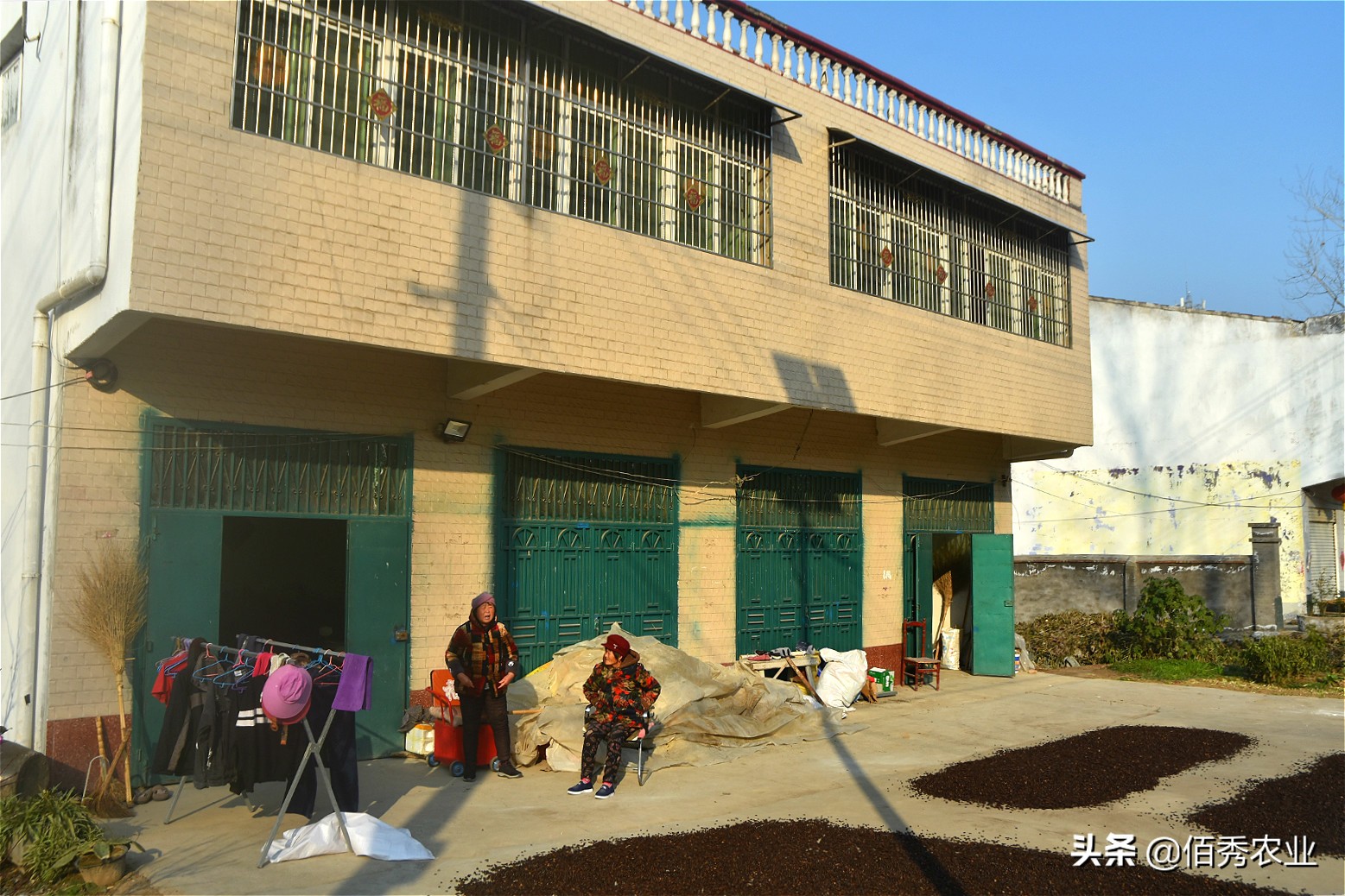 农村大姐养猪种菜,农村大姐养殖创业