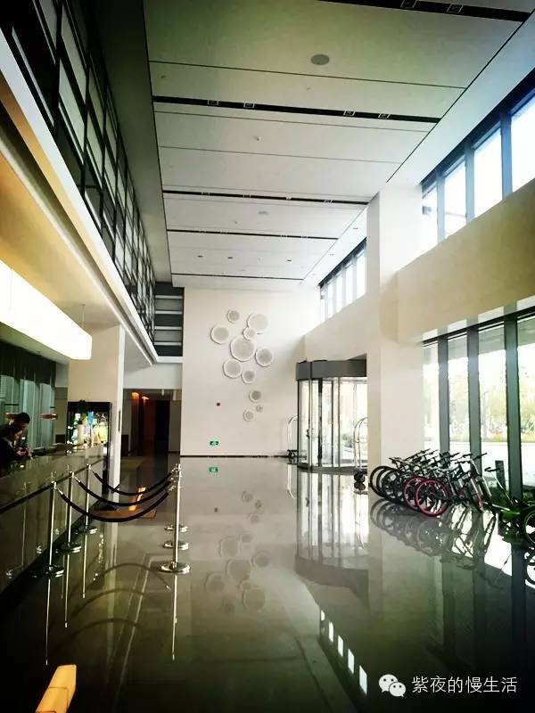 苏州带宠物去的古镇,苏州小众宠物乐园推荐