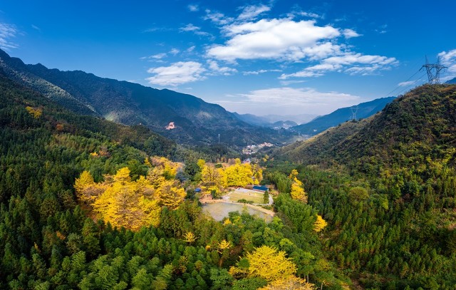 永州新余对比,江西新余经济发展状况