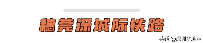 深圳大湾区未来5年的发展,深圳经济特区宝安
