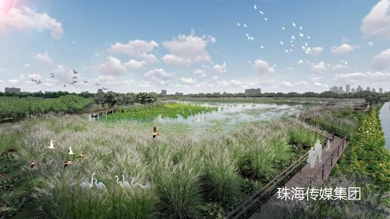 免费+湿地公园+花海栈道…珠澳市民新的休闲好去处