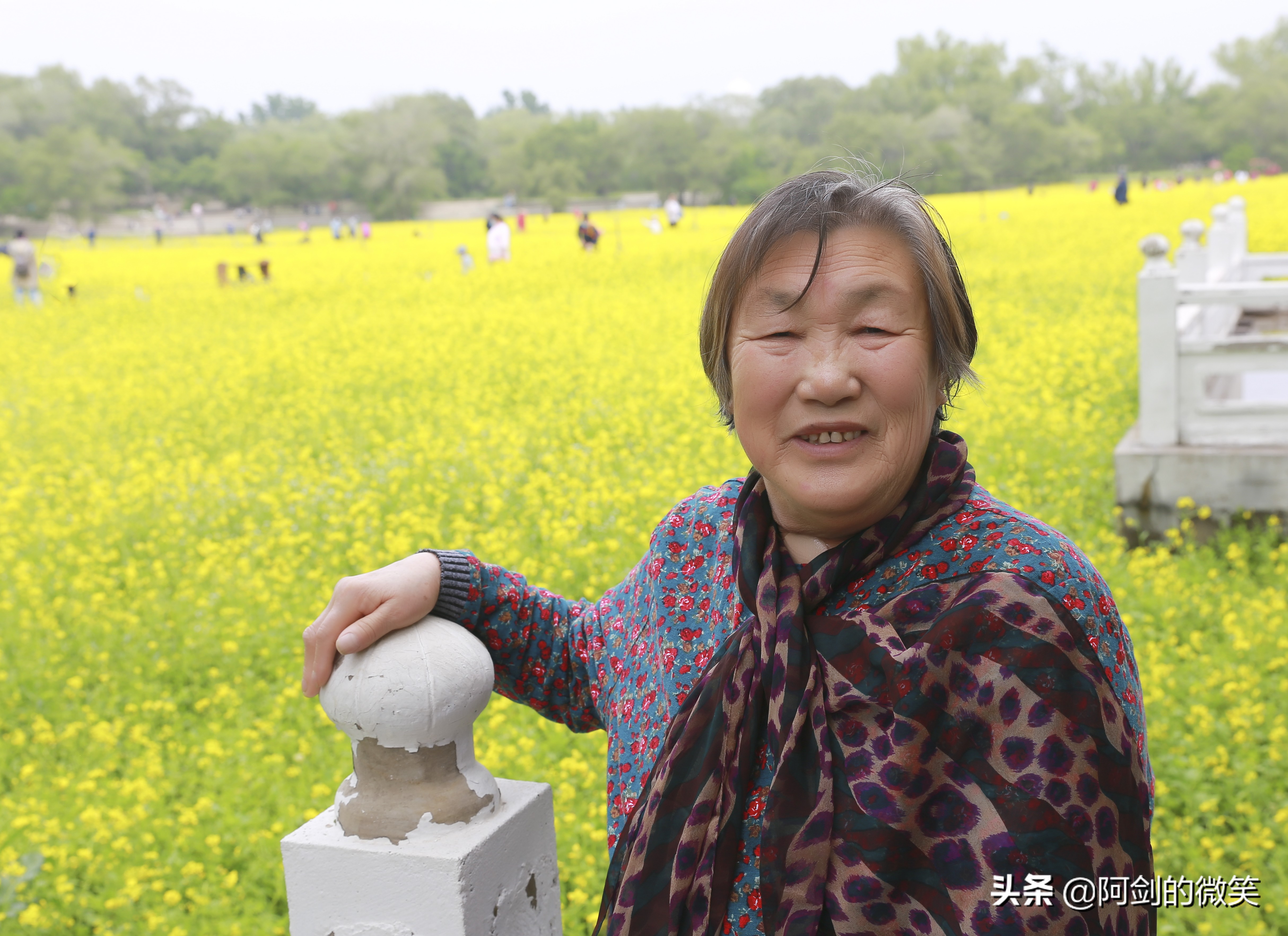 沈阳十一假期哪里有花海,沈阳玫瑰小镇温泉花海两日游