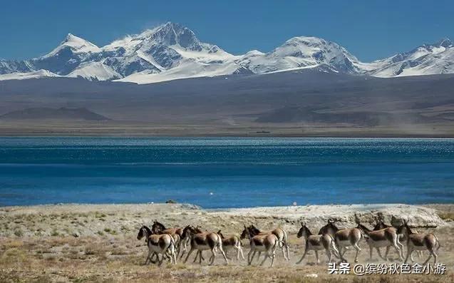 一线多游个性化旅游,坐旅游专列旅游的优点与缺点