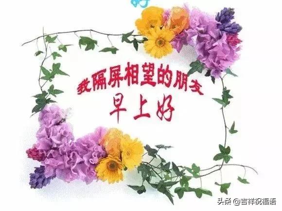 你若盛开蝴蝶自来正能量的句子,你若盛开蝴蝶自来老天自有安排